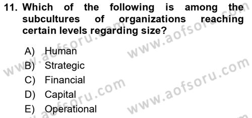 Organization Theory and Design Dersi 2024 - 2025 Yılı Yaz Okulu Sınav Soruları 11. Soru