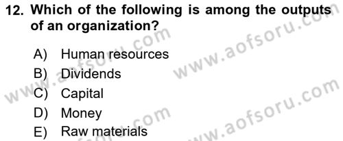 Organization Theory and Design Dersi 2024 - 2025 Yılı Yaz Okulu Sınav Soruları 12. Soru