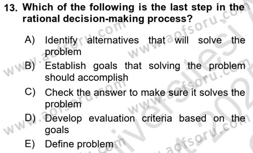 Organization Theory and Design Dersi 2024 - 2025 Yılı Yaz Okulu Sınav Soruları 13. Soru