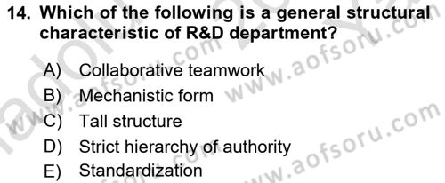 Organization Theory and Design Dersi 2024 - 2025 Yılı Yaz Okulu Sınav Soruları 14. Soru