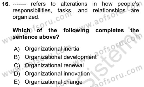 Organization Theory and Design Dersi 2024 - 2025 Yılı Yaz Okulu Sınav Soruları 16. Soru