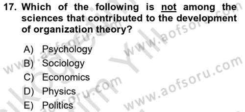 Organization Theory and Design Dersi 2024 - 2025 Yılı Yaz Okulu Sınav Soruları 17. Soru