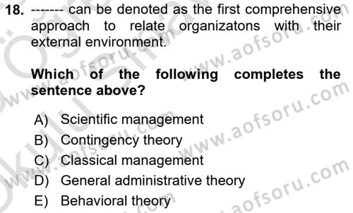 Organization Theory and Design Dersi 2024 - 2025 Yılı Yaz Okulu Sınav Soruları 18. Soru