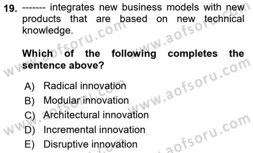 Organization Theory and Design Dersi 2024 - 2025 Yılı Yaz Okulu Sınav Soruları 19. Soru