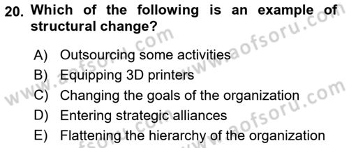 Organization Theory and Design Dersi 2024 - 2025 Yılı Yaz Okulu Sınav Soruları 20. Soru