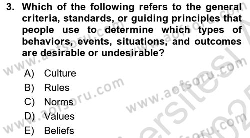 Organization Theory and Design Dersi 2024 - 2025 Yılı Yaz Okulu Sınav Soruları 3. Soru