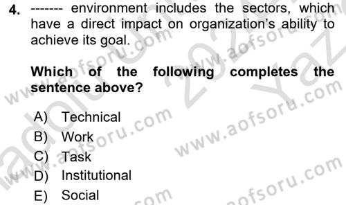 Organization Theory and Design Dersi 2024 - 2025 Yılı Yaz Okulu Sınav Soruları 4. Soru