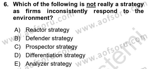 Organization Theory and Design Dersi 2024 - 2025 Yılı Yaz Okulu Sınav Soruları 6. Soru