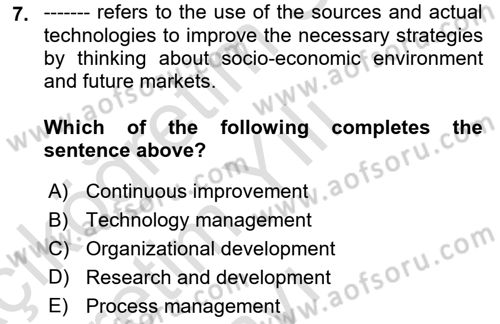 Organization Theory and Design Dersi 2024 - 2025 Yılı Yaz Okulu Sınav Soruları 7. Soru
