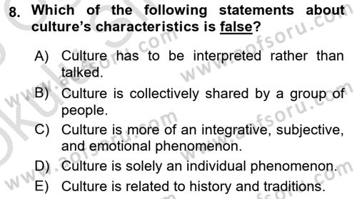 Organization Theory and Design Dersi 2024 - 2025 Yılı Yaz Okulu Sınav Soruları 8. Soru