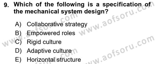 Organization Theory and Design Dersi 2024 - 2025 Yılı Yaz Okulu Sınav Soruları 9. Soru