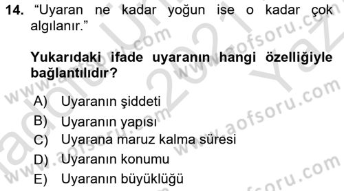 Pazarlamaya Giriş Dersi 2021 - 2022 Yılı Yaz Okulu Sınavı 14. Soru