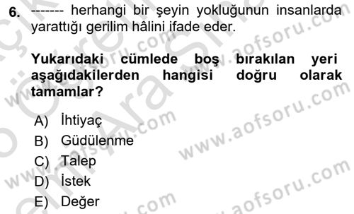 Pazarlamaya Giriş Dersi 2024 - 2025 Yılı (Vize) Ara Sınav Soruları 6. Soru