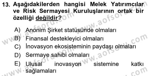 Teknoloji,İnnovasyon Ve Girişimcilik Dersi 2020 - 2021 Yılı Yaz Okulu Sınav Soruları 13. Soru