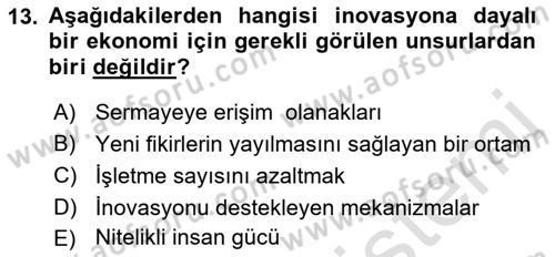 Teknoloji,İnnovasyon Ve Girişimcilik Dersi 2022 - 2023 Yılı Yaz Okulu Sınav Soruları 13. Soru