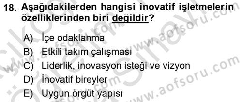 Teknoloji,İnnovasyon Ve Girişimcilik Dersi 2023 - 2024 Yılı (Vize) Ara Sınav Soruları 18. Soru
