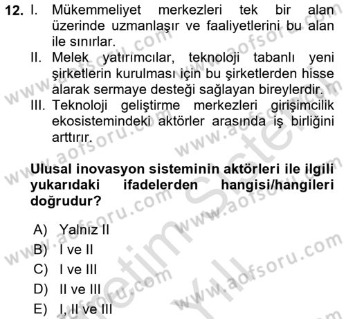 Teknoloji,İnnovasyon Ve Girişimcilik Dersi 2023 - 2024 Yılı Yaz Okulu Sınav Soruları 12. Soru