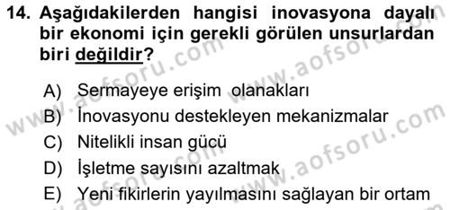 Teknoloji,İnnovasyon Ve Girişimcilik Dersi 2023 - 2024 Yılı Yaz Okulu Sınav Soruları 14. Soru