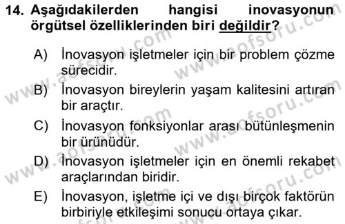 Teknoloji,İnnovasyon Ve Girişimcilik Dersi 2024 - 2025 Yılı (Vize) Ara Sınav Soruları 14. Soru