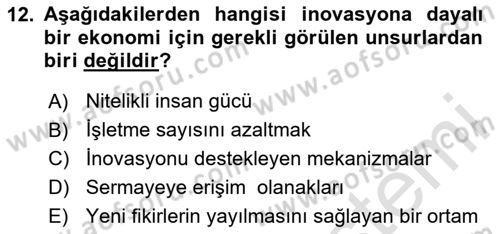 Teknoloji,İnnovasyon Ve Girişimcilik Dersi 2024 - 2025 Yılı (Final) Dönem Sonu Sınav Soruları 12. Soru