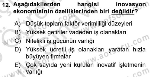 Teknoloji,İnnovasyon Ve Girişimcilik Dersi 2024 - 2025 Yılı Yaz Okulu Sınav Soruları 12. Soru