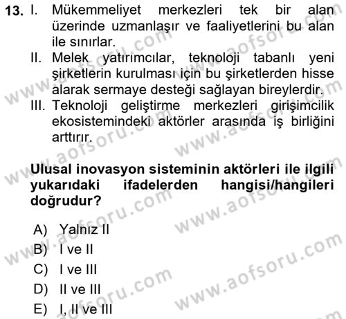 Teknoloji,İnnovasyon Ve Girişimcilik Dersi 2024 - 2025 Yılı Yaz Okulu Sınav Soruları 13. Soru
