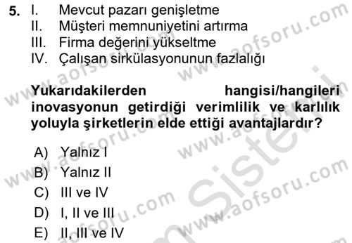 Teknoloji,İnnovasyon Ve Girişimcilik Dersi 2024 - 2025 Yılı Yaz Okulu Sınav Soruları 5. Soru