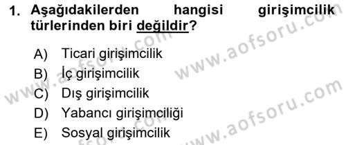 Girişimcilik ve İş Kurma Dersi 2021 - 2022 Yılı Yaz Okulu Sınavı 1. Soru