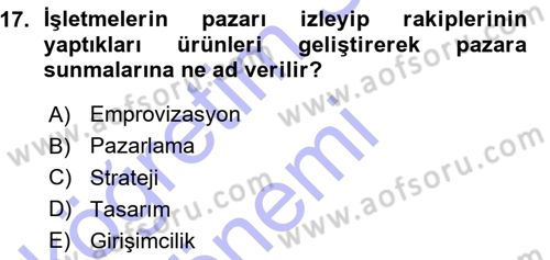 Girişimcilik ve İş Kurma -x Dersi 2015 - 2016 Yılı (Vize) Ara Sınav Soruları 17. Soru