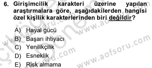 Girişimcilik ve İş Kurma -x Dersi 2016 - 2017 Yılı (Vize) Ara Sınav Soruları 6. Soru