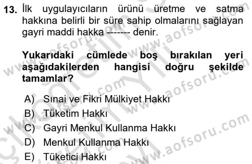 Girişimcilik ve İş Kurma -x Dersi 2020 - 2021 Yılı Yaz Okulu Sınav Soruları 13. Soru