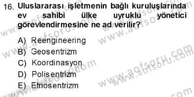 Uluslararası İşletmecilik Dersi 2013 - 2014 Yılı (Vize) Ara Sınav Soruları 16. Soru