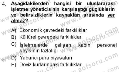 Uluslararası İşletmecilik Dersi 2013 - 2014 Yılı (Vize) Ara Sınav Soruları 4. Soru