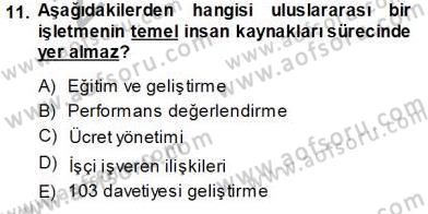Uluslararası İşletmecilik Dersi 2013 - 2014 Yılı Tek Ders Sınav Soruları 11. Soru