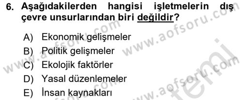 Uluslararası İşletmecilik Dersi 2016 - 2017 Yılı (Vize) Ara Sınav Soruları 6. Soru