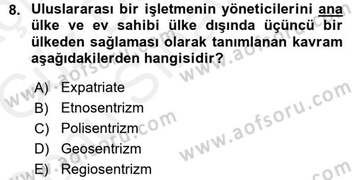 Uluslararası İşletmecilik Dersi 2017 - 2018 Yılı (Final) Dönem Sonu Sınavı 8. Soru