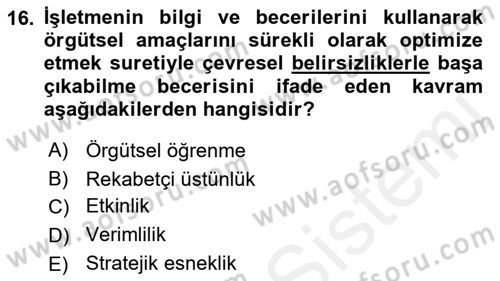 Uluslararası İşletmecilik Dersi 2018 - 2019 Yılı Tek Ders Sınav Soruları 16. Soru