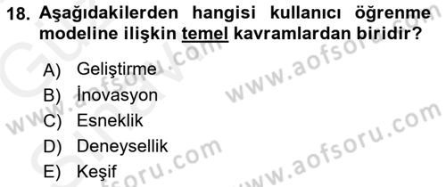 Uluslararası İşletmecilik Dersi 2018 - 2019 Yılı Tek Ders Sınav Soruları 18. Soru