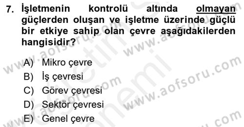 Uluslararası İşletmecilik Dersi 2018 - 2019 Yılı Tek Ders Sınav Soruları 7. Soru