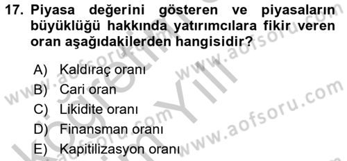 Uluslararası İşletmecilik Dersi 2018 - 2019 Yılı Yaz Okulu Sınav Soruları 17. Soru