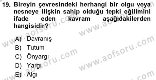 Uluslararası İşletmecilik Dersi 2018 - 2019 Yılı Yaz Okulu Sınav Soruları 19. Soru