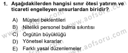 Uluslararası İşletmecilik Dersi 2020 - 2021 Yılı Yaz Okulu Sınavı 1. Soru