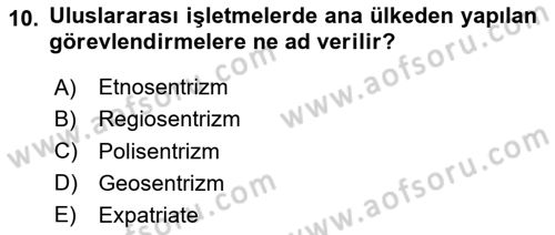 Uluslararası İşletmecilik Dersi 2020 - 2021 Yılı Yaz Okulu Sınavı 10. Soru