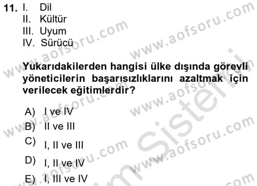 Uluslararası İşletmecilik Dersi 2020 - 2021 Yılı Yaz Okulu Sınavı 11. Soru