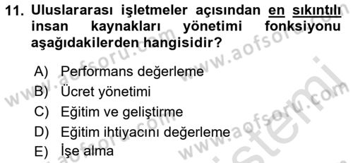 Uluslararası İşletmecilik Dersi 2021 - 2022 Yılı (Final) Dönem Sonu Sınavı 11. Soru