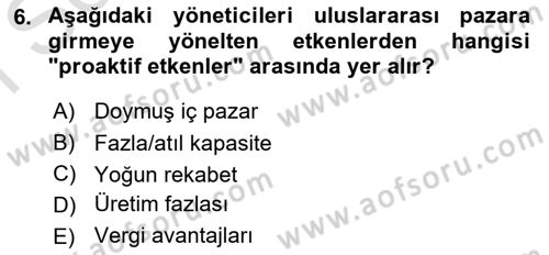 Uluslararası İşletmecilik Dersi 2021 - 2022 Yılı (Final) Dönem Sonu Sınavı 6. Soru