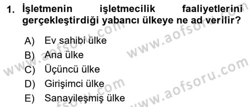 Uluslararası İşletmecilik Dersi 2021 - 2022 Yılı Yaz Okulu Sınavı 1. Soru
