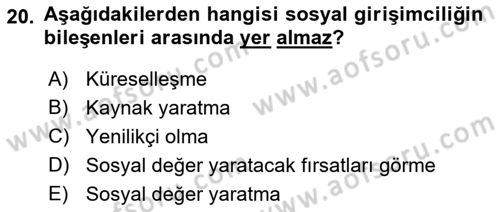 Uluslararası İşletmecilik Dersi 2021 - 2022 Yılı Yaz Okulu Sınavı 20. Soru