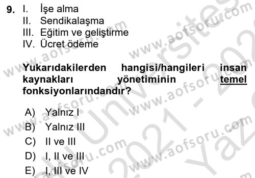 Uluslararası İşletmecilik Dersi 2021 - 2022 Yılı Yaz Okulu Sınavı 9. Soru
