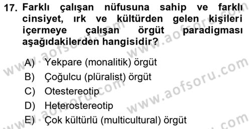 Uluslararası İşletmecilik Dersi 2022 - 2023 Yılı (Final) Dönem Sonu Sınavı 17. Soru